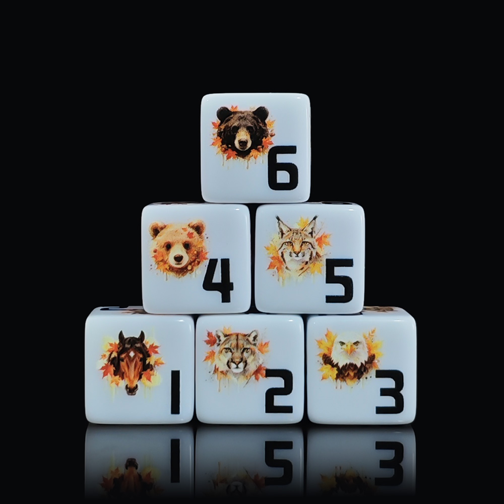 Набор из 12 акриловых игральны – обзор и цена Board Game Wild Wild