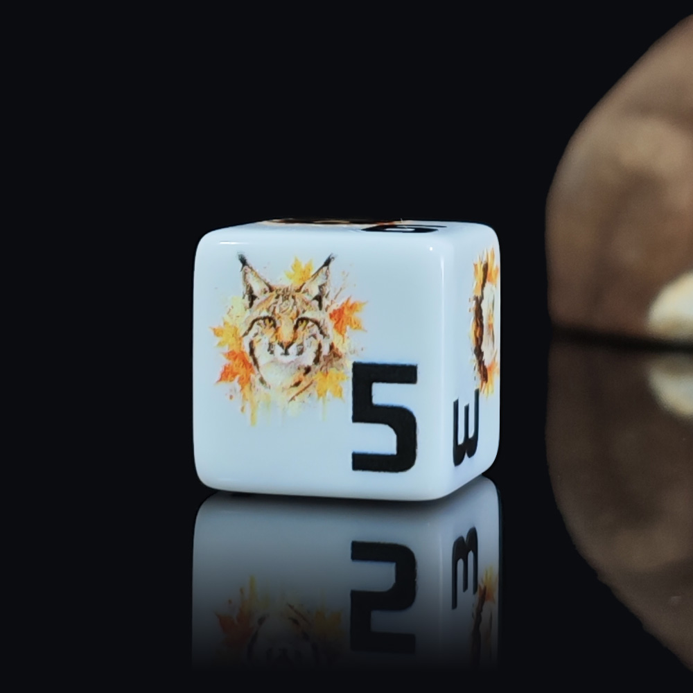 Набор из 12 акриловых игральны – обзор и цена Board Game Wild Wild
